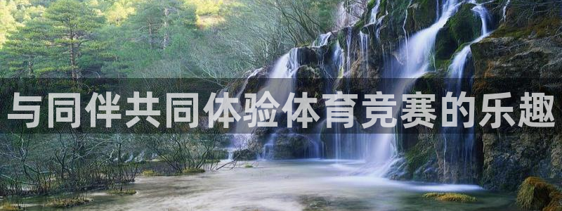汇赢国际电子pg：与同伴共同体验体育竞赛的乐趣