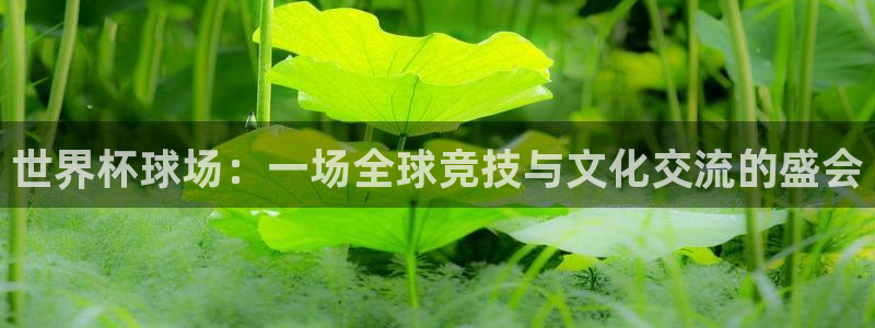 汇赢人生：世界杯球场：一场全球竞技与文化交流的盛会