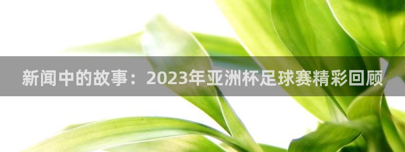 汇赢国际摸拟器：新闻中的故事：2023年亚洲杯足球赛精彩回顾