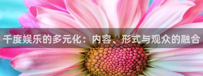 汇赢销：千度娱乐的多元化：内容、形式与观众的融合