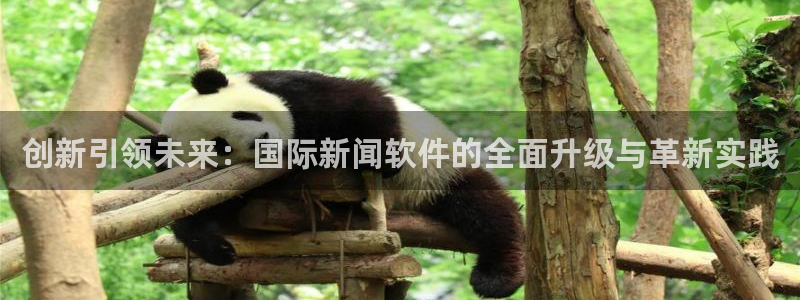 汇赢国际君临国际导航：创新引领未来：国际新闻软件的全面升级与革新实践