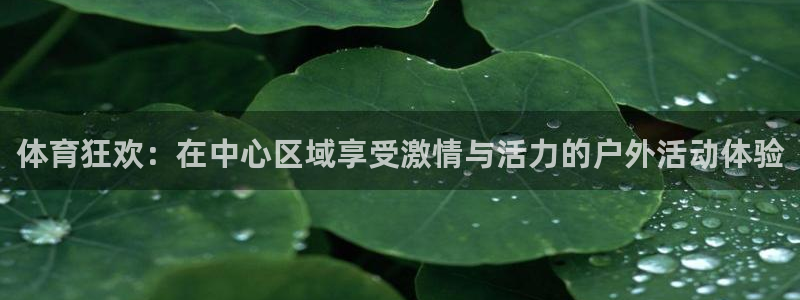 珠江汇赢1号：体育狂欢：在中心区域享受激情与活力的户外活动体验