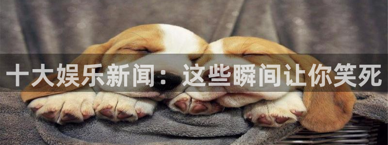 汇赢国际游戏官网：十大娱乐新闻：这些瞬间让你笑死