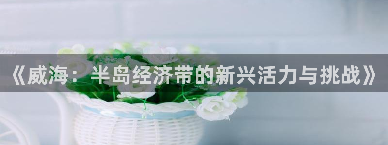 汇赢国际h5官网：《威海：半岛经济带的新兴活力与挑战》