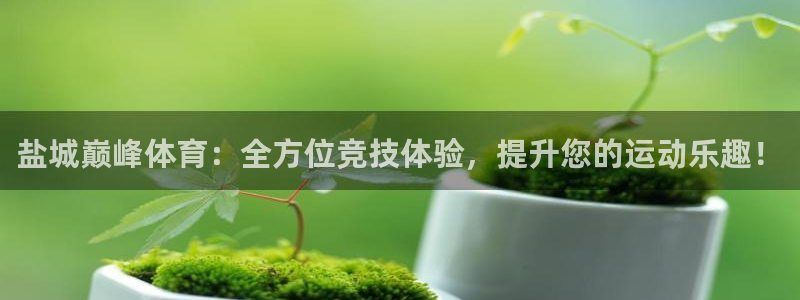 汇赢人生：盐城巅峰体育：全方位竞技体验，提升您的运动乐趣！