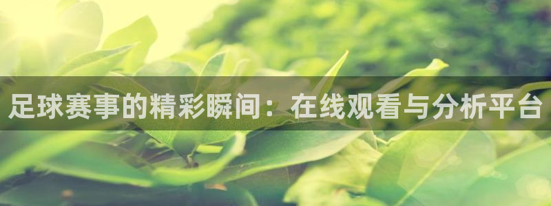 步步汇赢：足球赛事的精彩瞬间：在线观看与分析平台