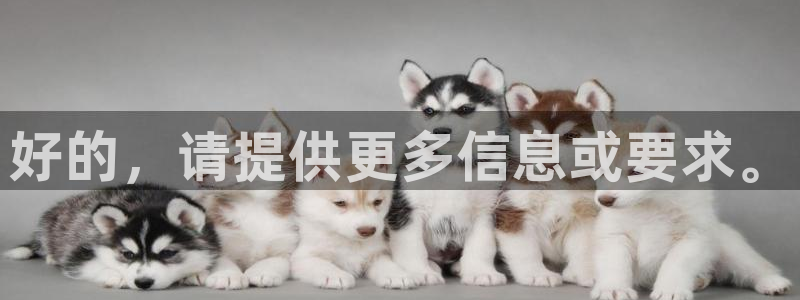 汇赢国际入口链接：好的，请提供更多信息或要求。